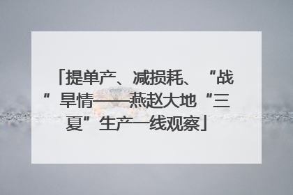 提单产、减损耗、“战”旱情——燕赵大地“三夏”生产一线观察